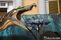 VBS_1037 - Dinosauri. Terra dei giganti